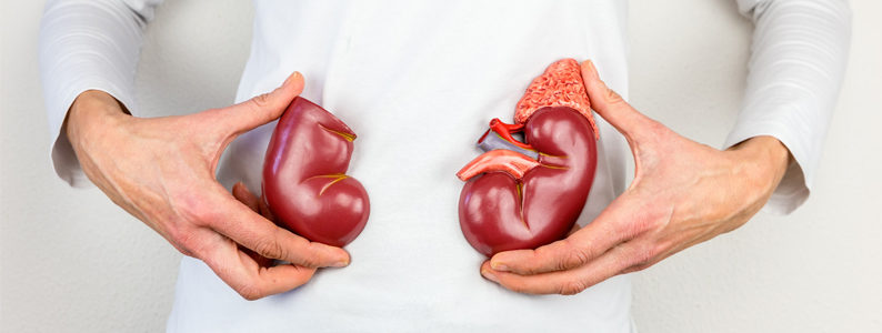 Image result for kidney stone